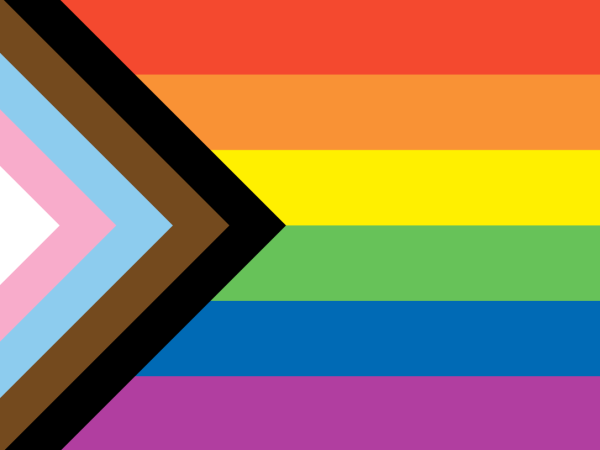 Blog Celebrating Pride Month â Progress Pride Flag